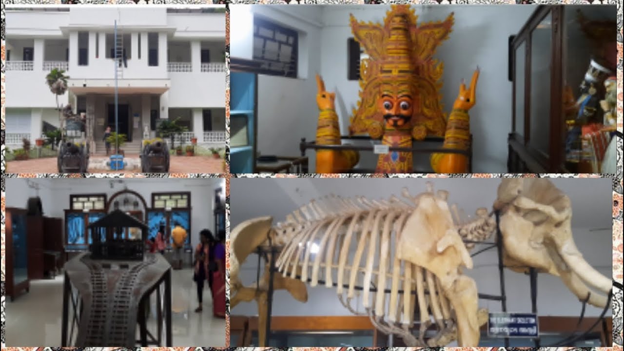 ഏഷ്യയിലെ ഏറ്റവും ഉയരം കൂടിയ      ആനയുടെ അസ്ഥികൂടം |The skeleton of Asia's tallest elephant|Thrissur