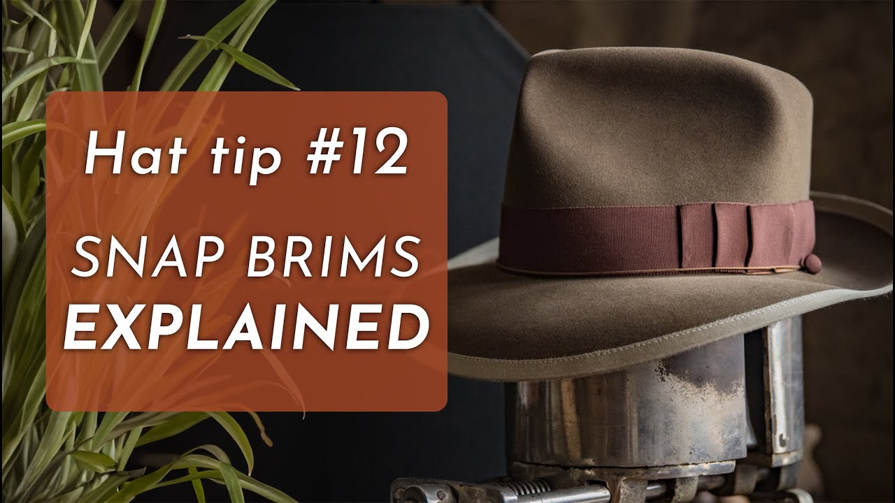 Что такое SNAP BRIM?