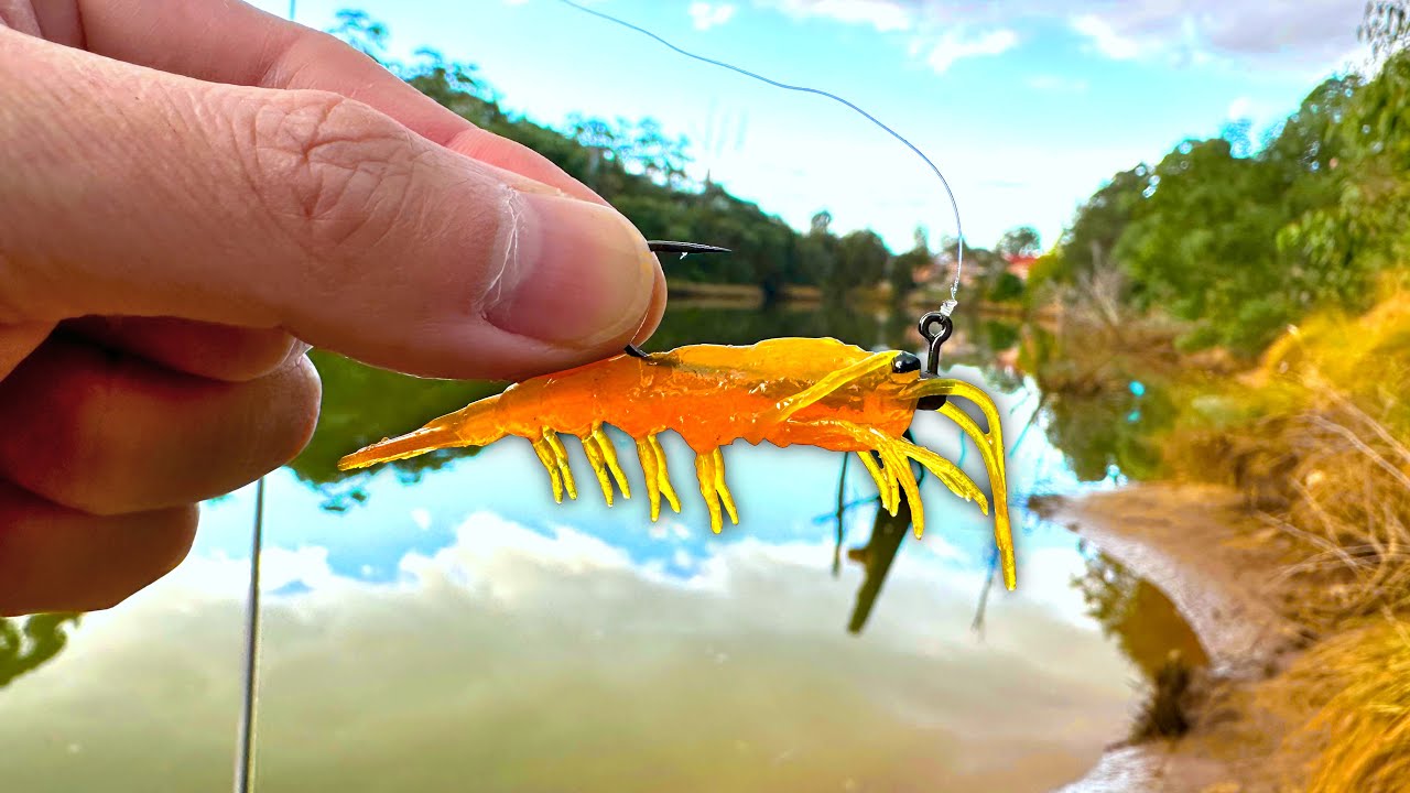 Is This The Best Prawn Lure?