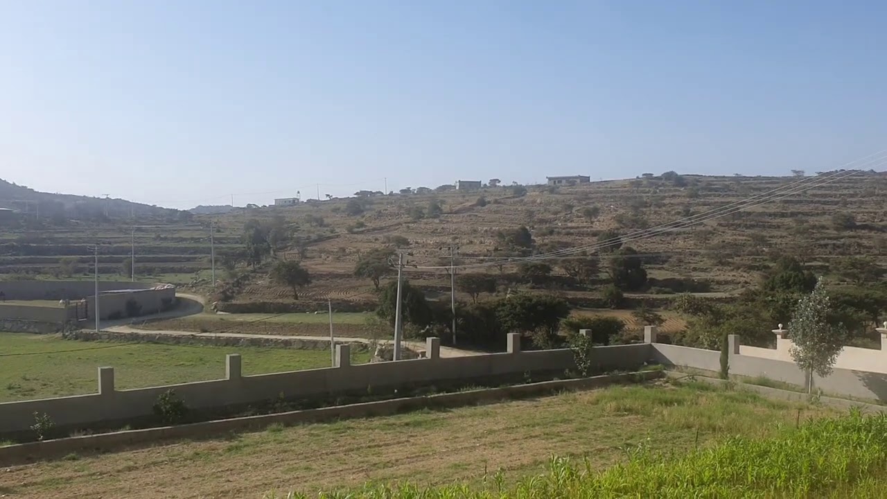 آلية المخالصة وفض العقد مع المقاول السيء