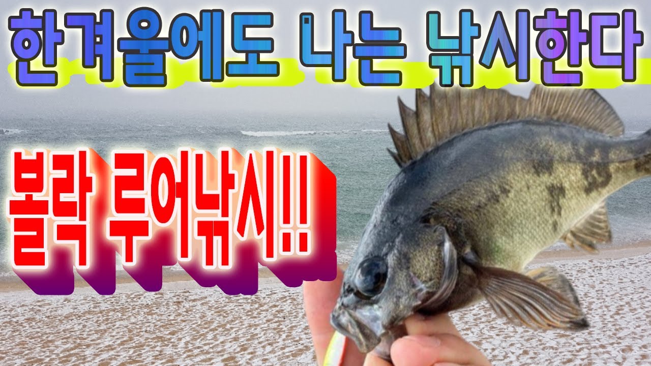 겨울철낚시! 아직도 입질없는 원투?돔낚시?만 하세요?볼락낚시배워봅시다