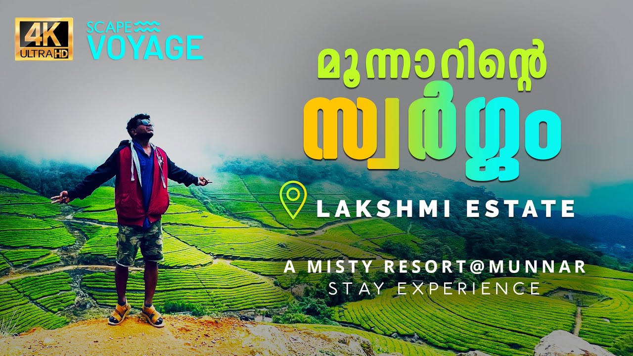 Lakshmi estate road drive | 4K | & Stay cation in a misty resort Munnar | Munnar Video