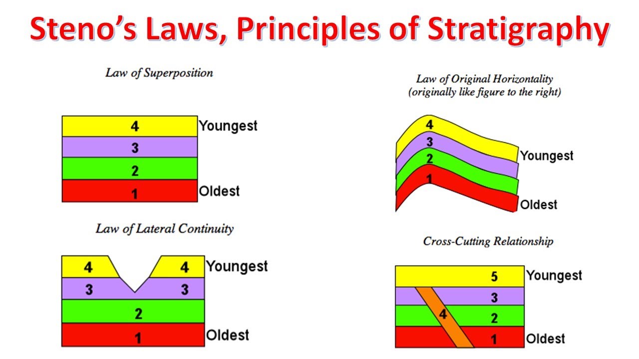 Steno's Laws, Principles of Stratigraphy, Geologic Cross Sections