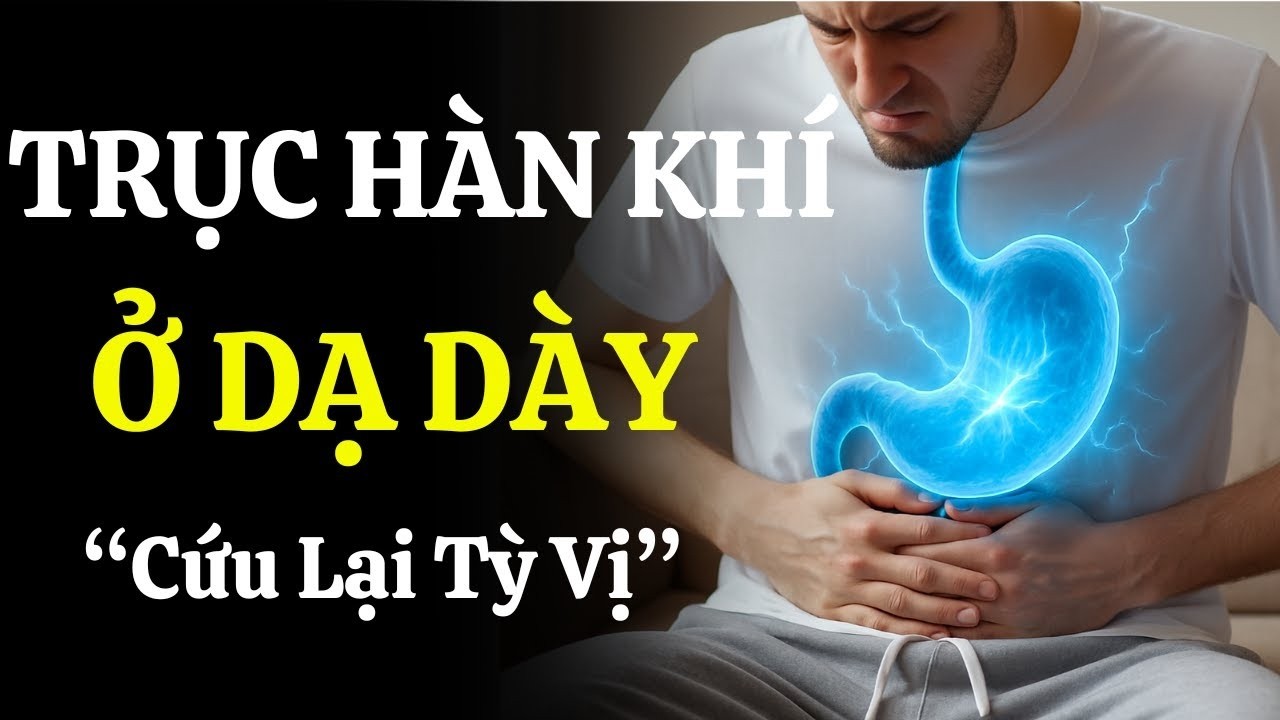 TRỤC HÀN KHÍ Ở DẠ DÀY – LÝ DO ĂN ÍT VẪN KHÓ CHỊU | Làm Ấm Lại Tỳ Vị, Phục Hồi Từ Gốc
