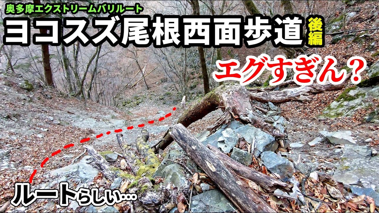 【ヨコスズ尾根西面歩道 後編】エグすぎるトラバース道（奥多摩最恐を更新）