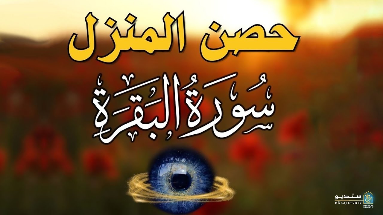 سورة البقرة سبيل الطمأنينة وتحصين من كل شر🌿 تلاوة خاشعة مؤثرة Soul Comfort #Islam
