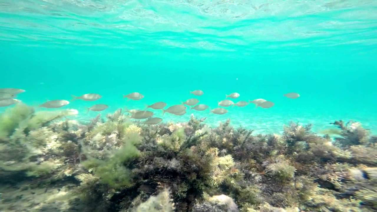 ΒΟΥΤΙΑ ΣΤΟ ΝΑΥΑΓΙΟ ΕΠΑΝΟΜΗΣ - Epanomi shipwreck