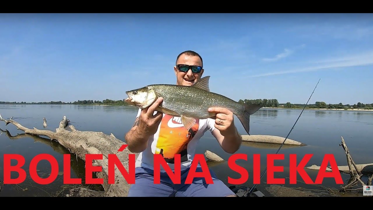 Wiślana Rapa na Sieka / odc. 5