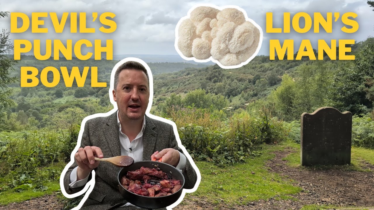 The Devil's Punch Bowl | Tagliatelle with Lion's Mane