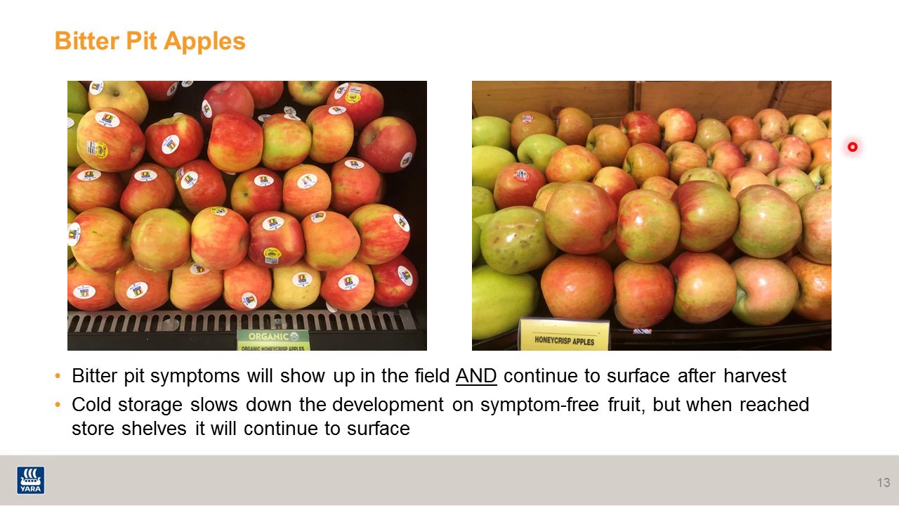 Intro to apple nutrition: Apple fruit mineral analysis and soil test reports (8 of 8).
