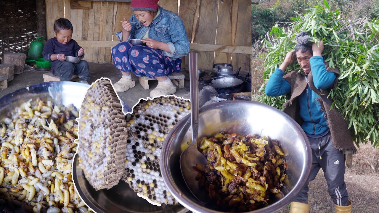 manjita cooks  hornet larva fry and have with son Niyabung Rai || somuhang takes grass || Manjita ||