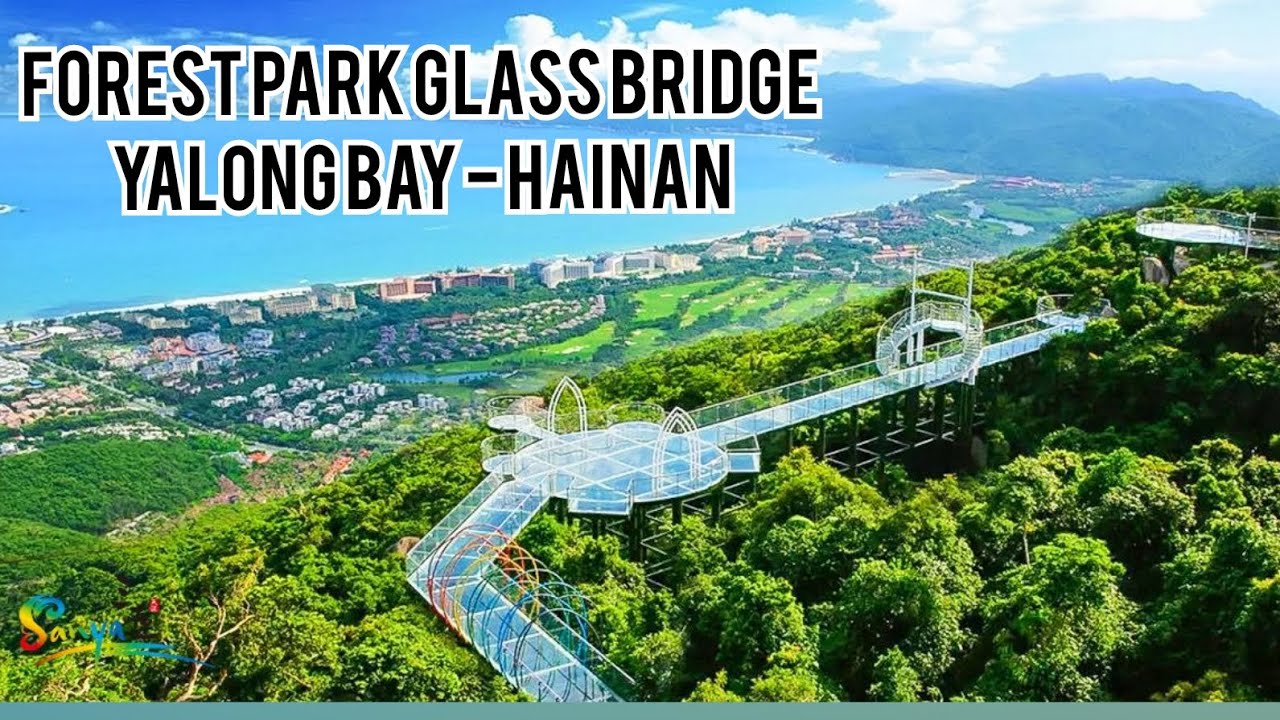 Day 2 Hainan - Toko Fish Oil - Forest Park Glass Bridge - Tempat Makan Dekat Hotel YaBuLun