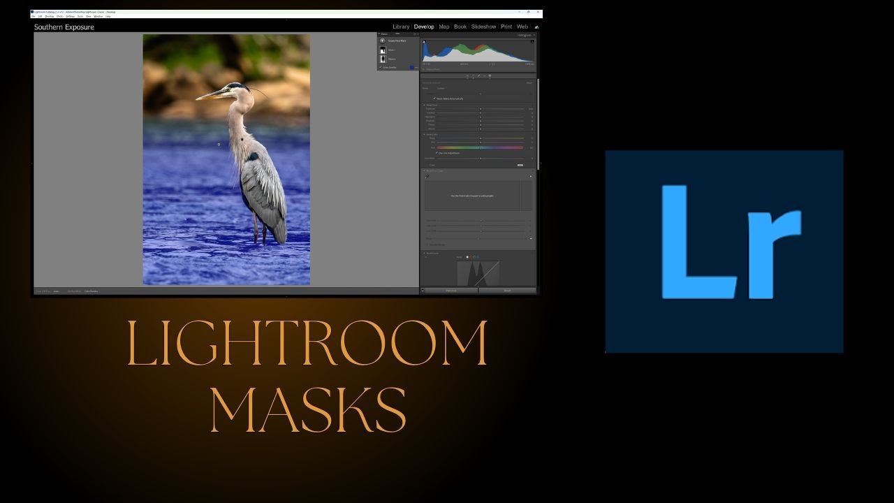 Understanding Masks in Lightroom