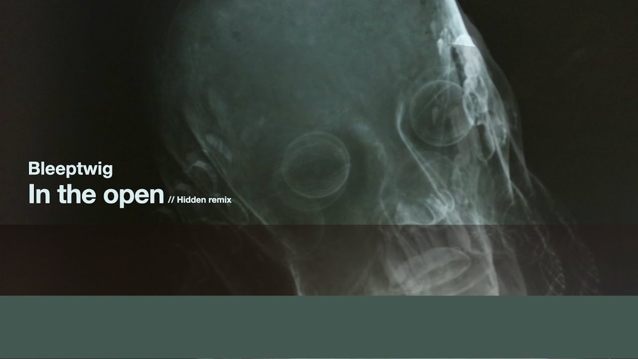 In the open // Bleeptwig