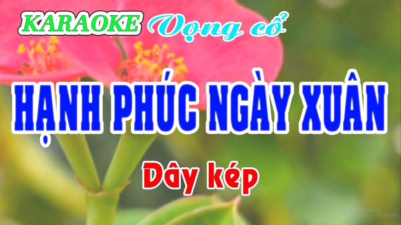 Karaoke _ Hạnh Phúc Ngày Xuân _ Tác giả - Nguyễn Nhanh _ Dây Kép