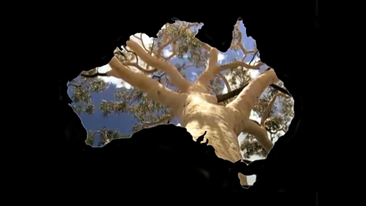 National Anthem of STRAYA (to the tune of Hey Ya)