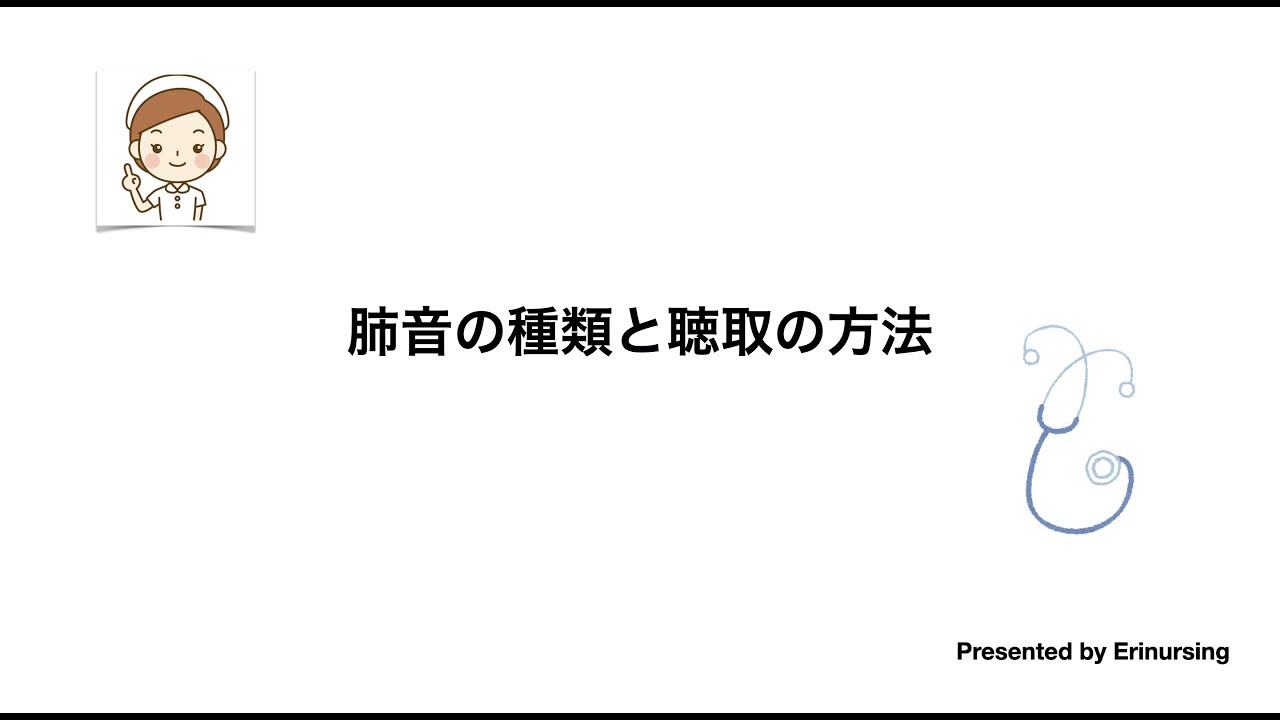 肺音の種類と聴取方法｜正しい肺音聴取のポイントは？断続性副雑音・連続性副雑音・胸膜副雑音の違いは？｜看護レビュー