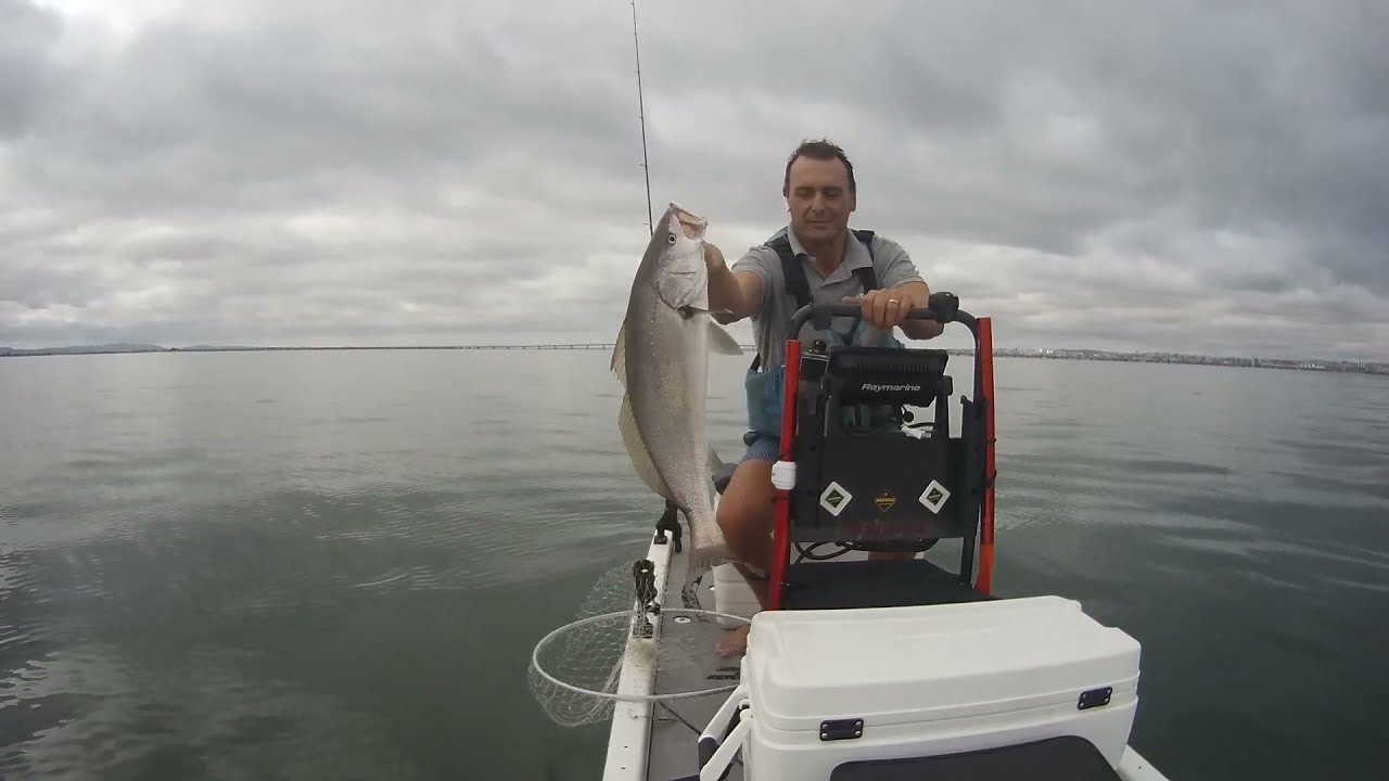 15 Minutos de pesca sem edições - Tejo - XTR SKIFF