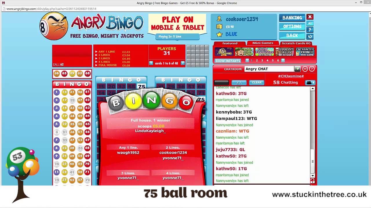 Angry Bingo Video Review