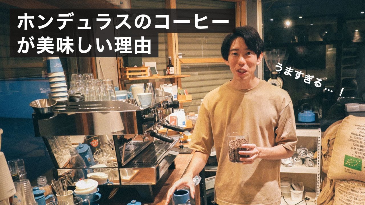 ホンデュラスのコーヒーが美味しい理由！品種の話