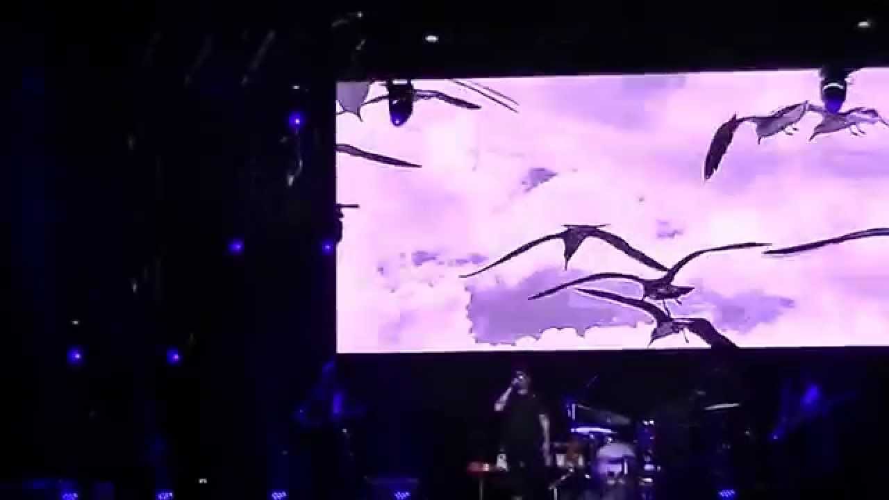 gaviotas- Andres Calamaro- Cosquin Rock 2015 (grabado por Nahuel gonzalez Feilberg)