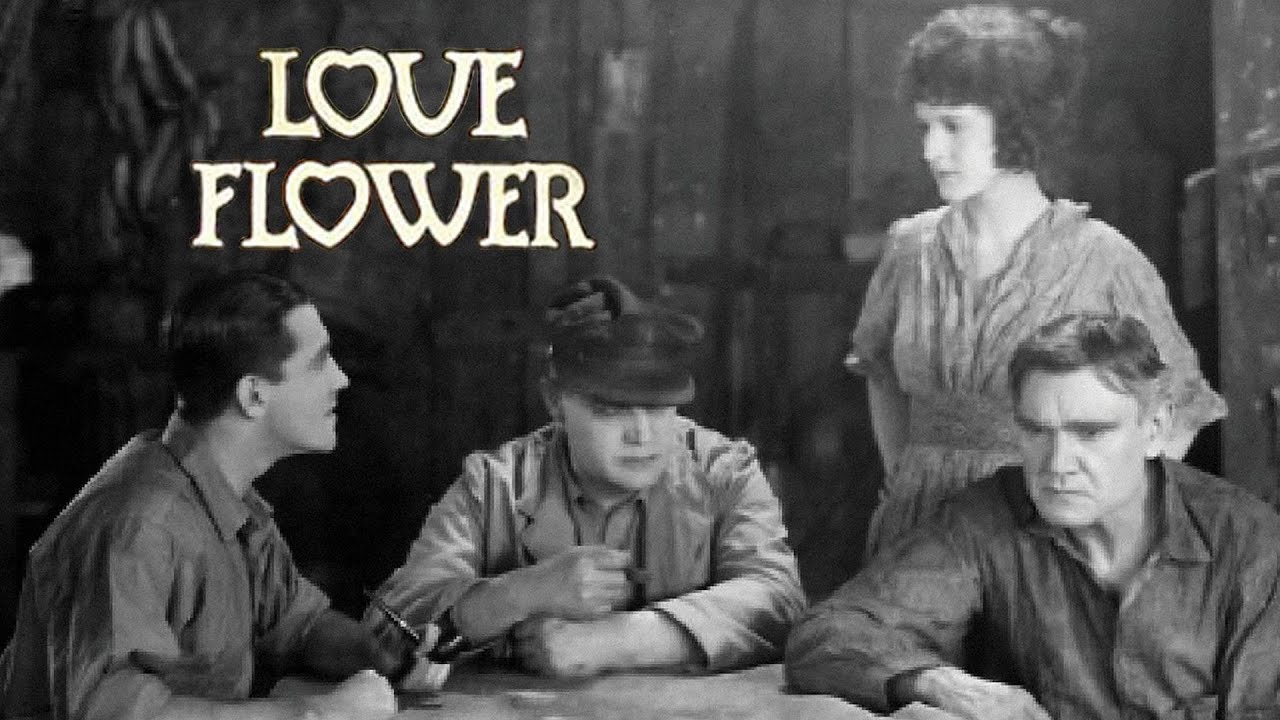 The Love Flower | Full Movie | Silent Film | Carol Dempster | Richard Barthelmess