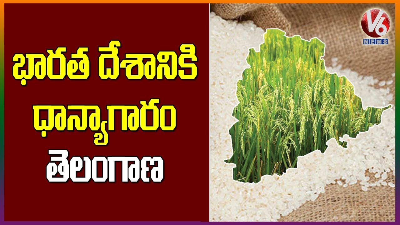 Telangana Is A Rice Bowl Of India Says Food Corporation Of India GM Ashiwini Kumar Guptha | V6 News
