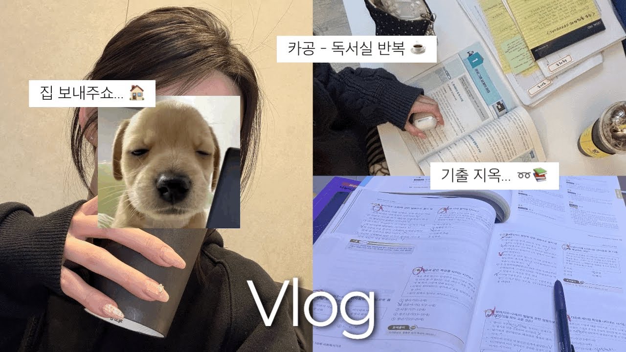 대학생 브이로그 vlog | 알바하면서 자격증 따는 일상... 📑✏️ • 인포 알바 • 자격증 • 공부 • 카페 • 졸업 ⭒𓂃𖤣𖥧𖥣｡𖤣