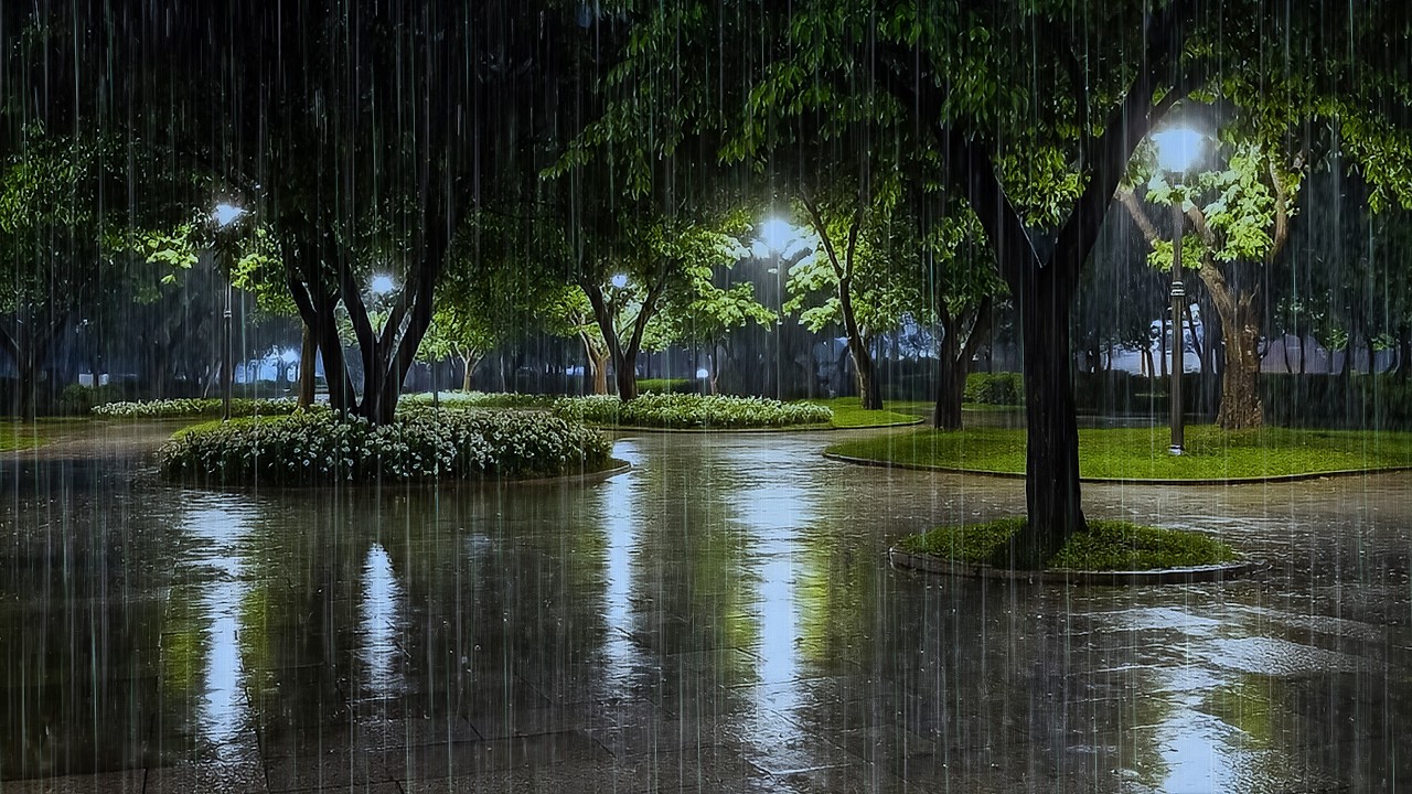 Drift into Deep Sleep with Soft Rain on Quiet Park | Rain to Cure Insomnia , Tinnitus, Stress