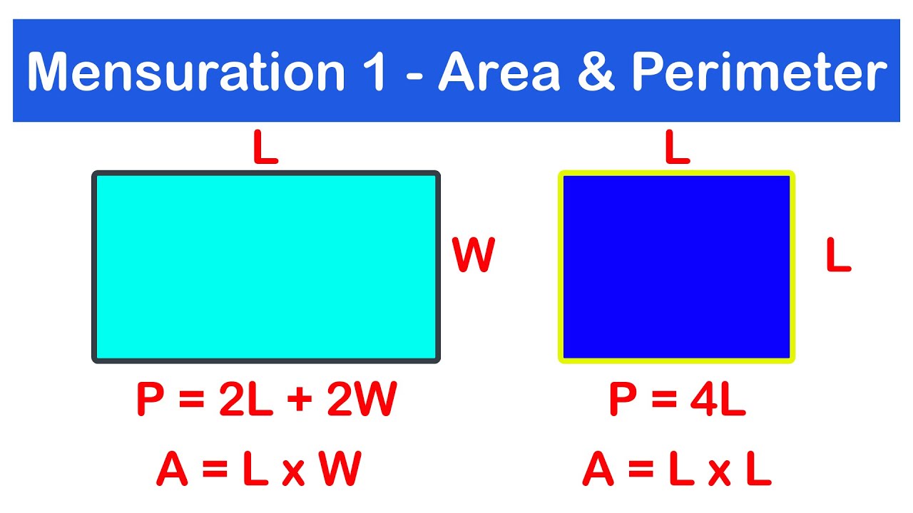 Mensuration 1 - Find the Area and Perimeter of a Rectangle and Square | SHS 2 CORE MATH
