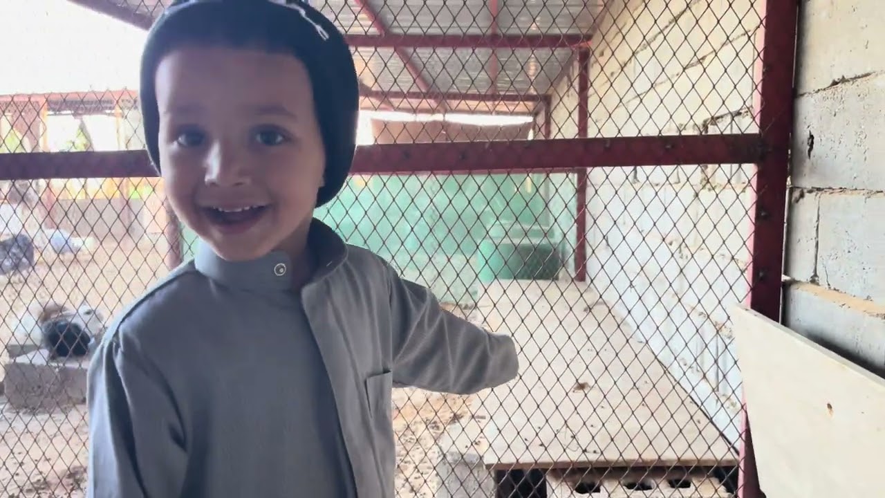 الارانب ولدن شوفو الوانهن 🐰🥹😍👏🏻