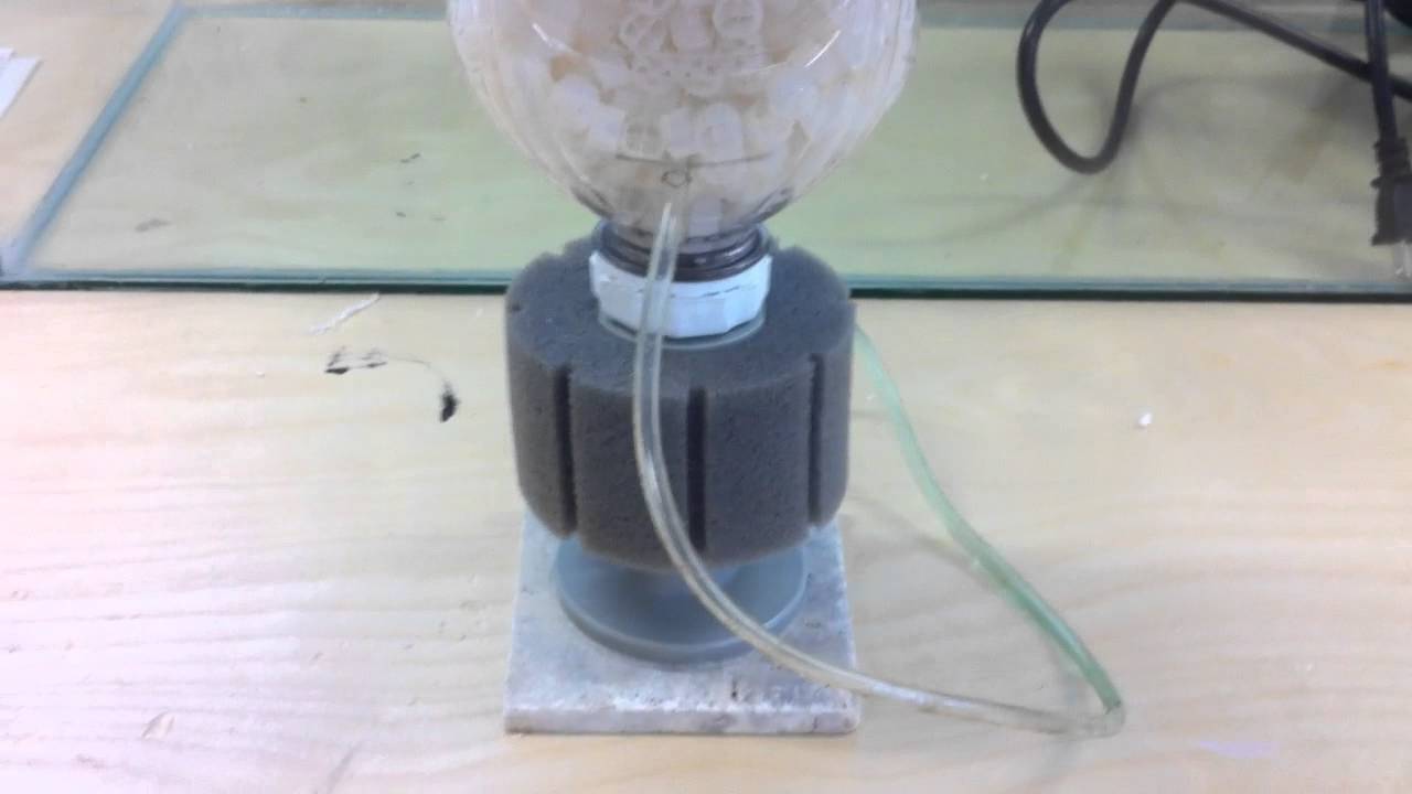 DIY K1 Kaldnes Bottle Filter