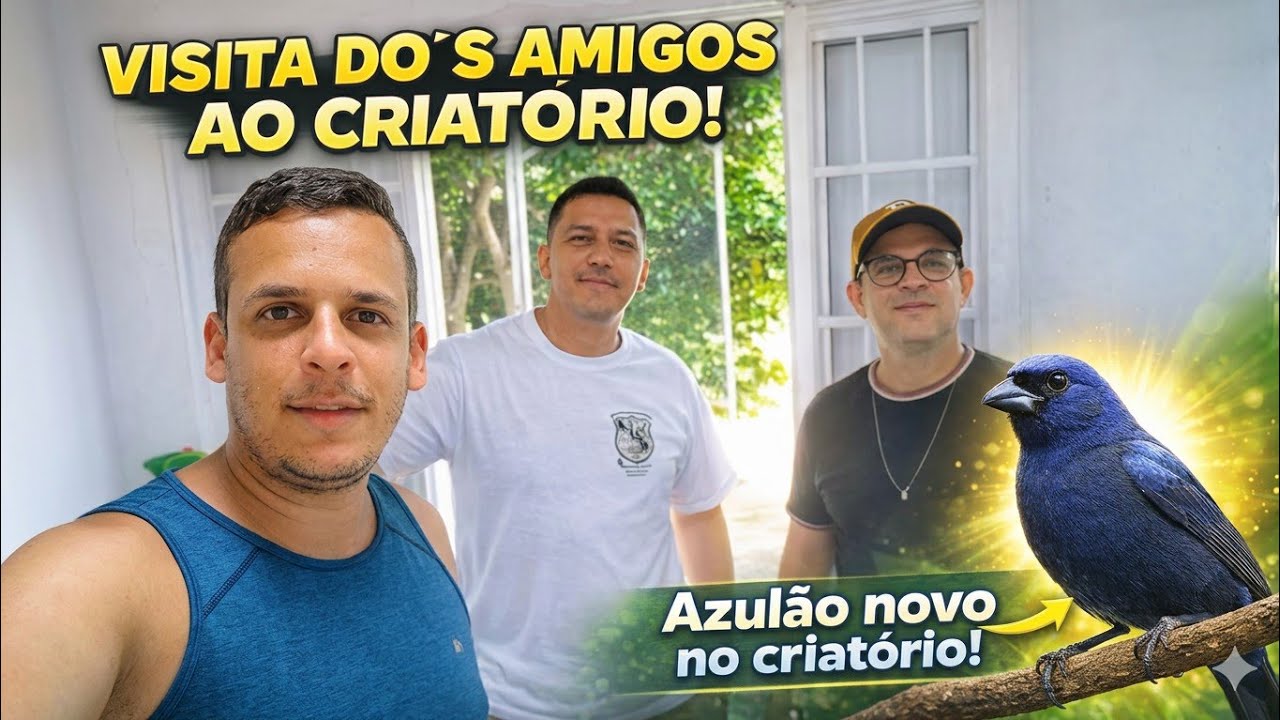 Chegou um azulão novo no Criatório. E visita dos amigos 