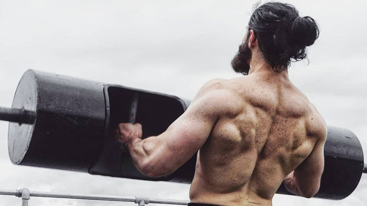MUSCULATION du Dos | 5 Exercices Simples et Efficaces (Avec Explications)