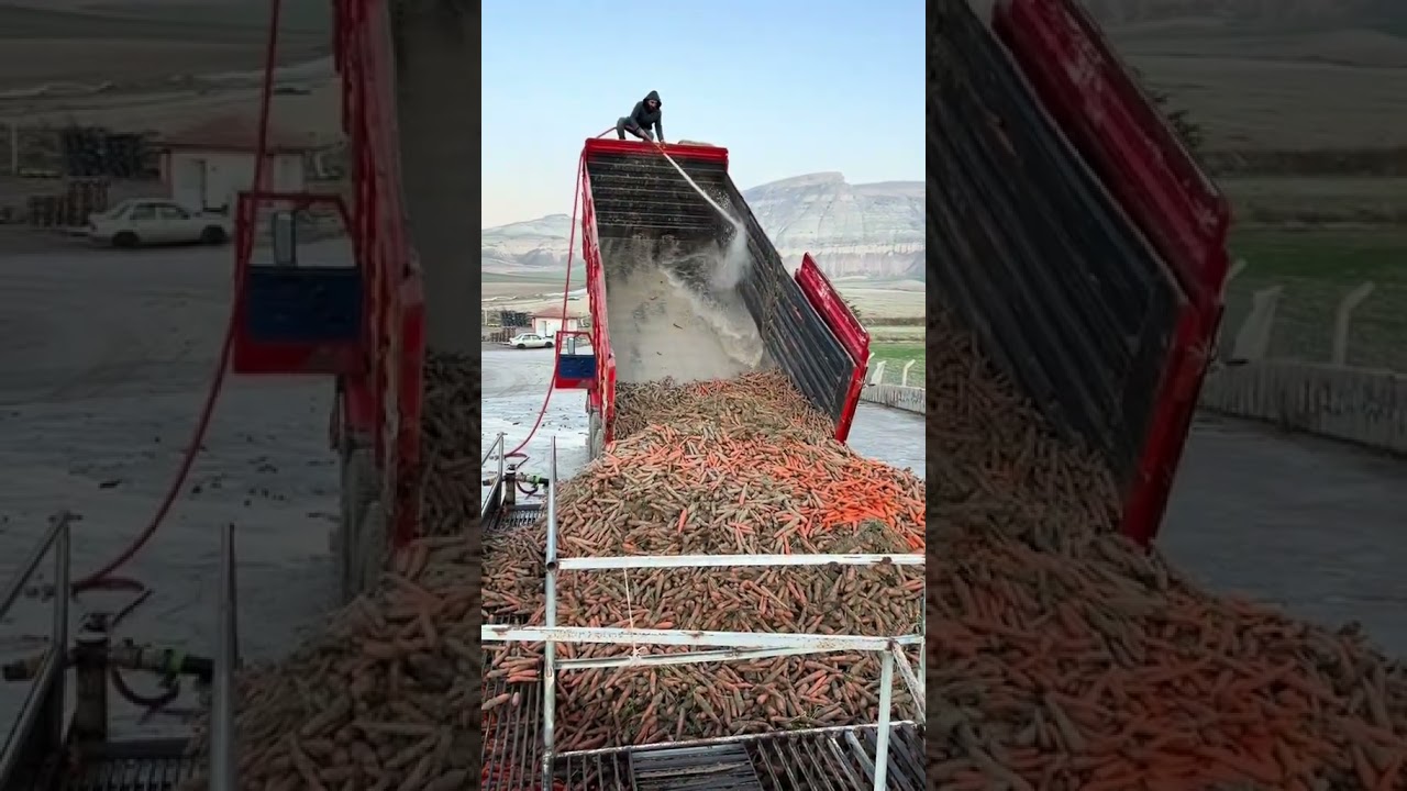 Havu&ccedil; Boşaltma