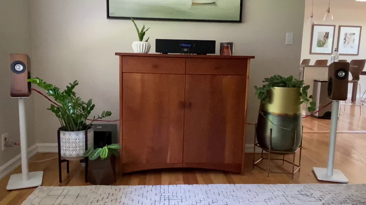 Odyssey Kismet, Boenicke W5’s, PS Audio Directstream Jr., REL T5i