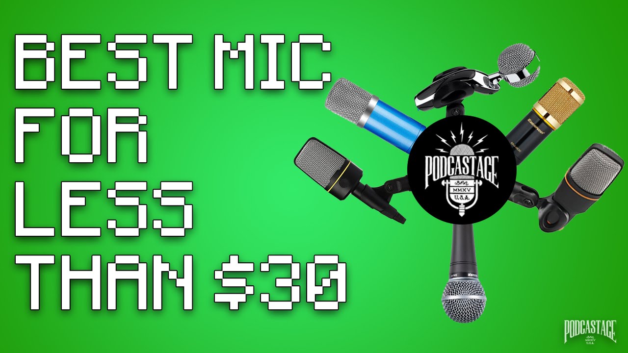 What's The Best Mic Under $30?