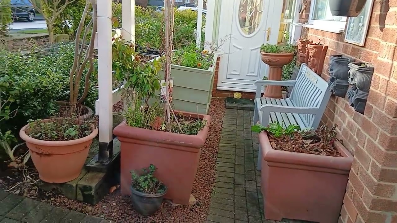 Front garden update 15th January 2026. #potager.  #frontgardenveg #homegrownveg  
