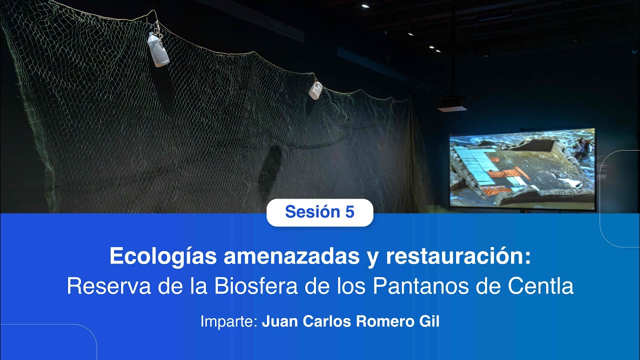 Sesión 5: Ecologías amenazadas y restauración: Reserva de la Biosfera de los Pantanos de Centla