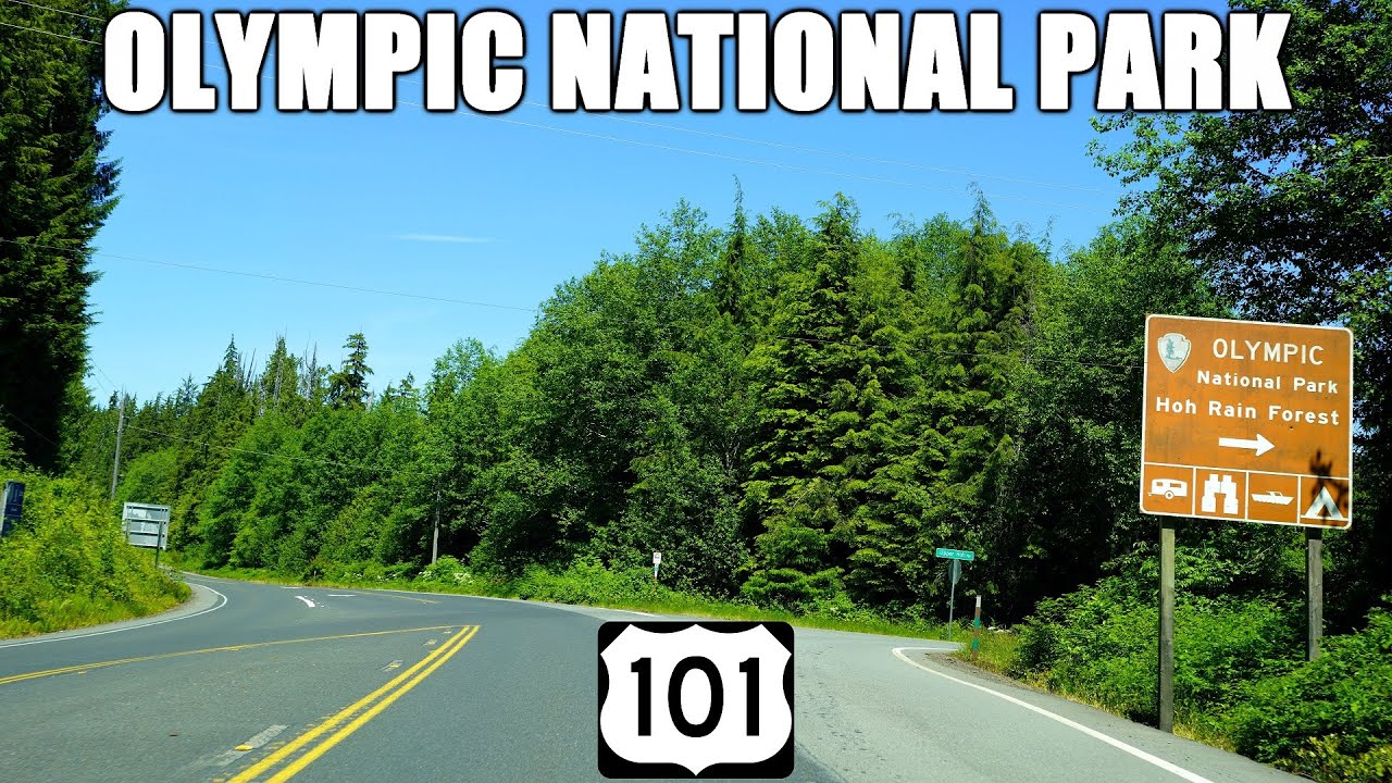 US-101 North Through the Temperate Rainforests of Olympic National Park in Washington