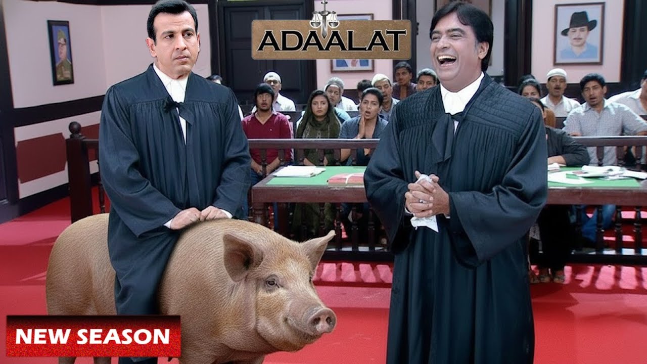 Case की हार पर KD Pathak को करनी पड़ी सूअर की सवारी | Adalat Latest Episodes | Crime Mystery