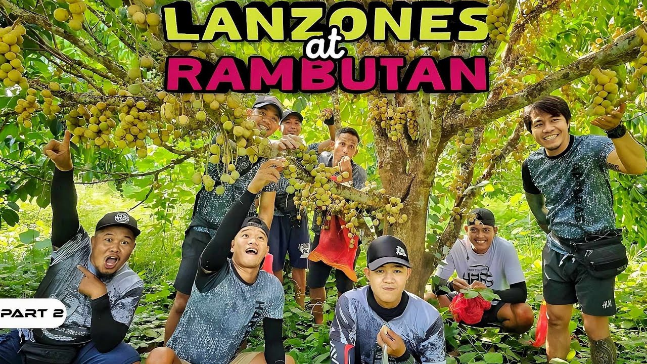 P2-Rambutan at Lanzones - EP1090