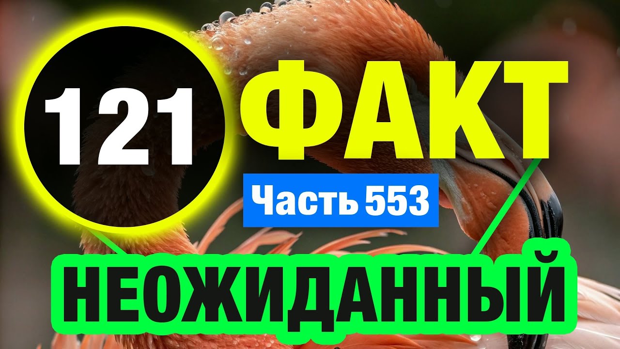 121 Захватывающий Факт Который Сделает Вас Умнее