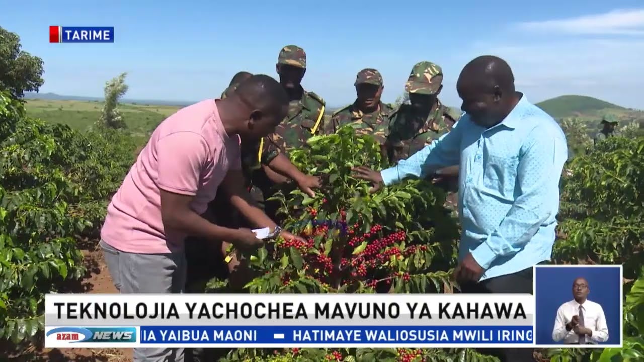 MAKALA SHAMBANI: Namna teknolojia ilivyochochea mavuno ya zao la Kahawa
