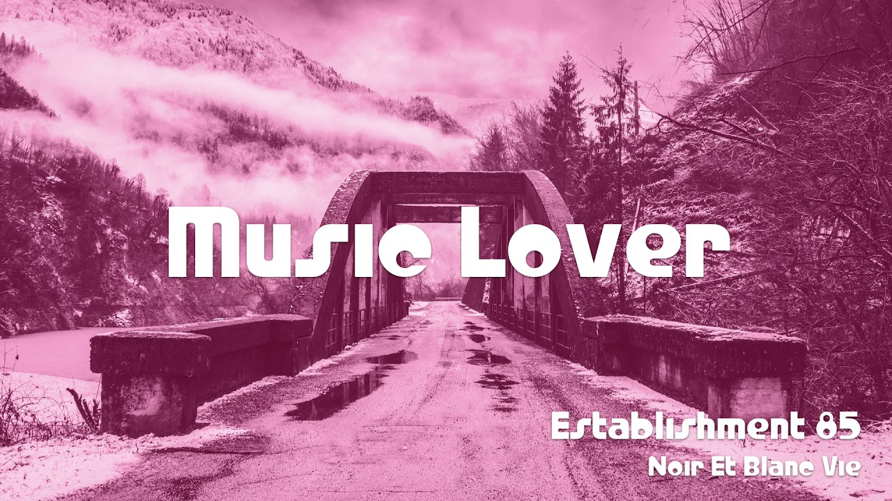 🎵 Establishment 85 - Noir Et Blanc Vie 🎧 No Copyright Music 🎶 YouTube Audio Library