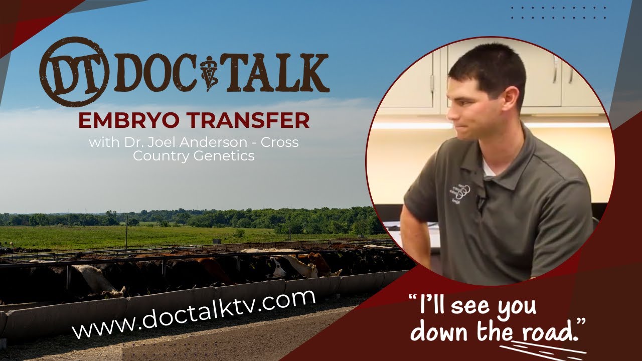 DocTalk Ep 188 - Embryo Transfer