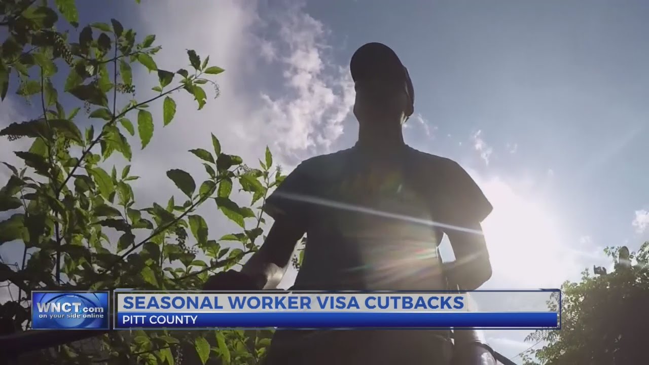 HB2 Visas local impact