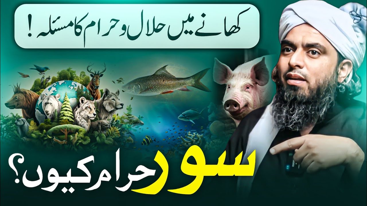 Understanding Halal & Haram Animals in Islam ? Engineer Muhammad Ali Mirza