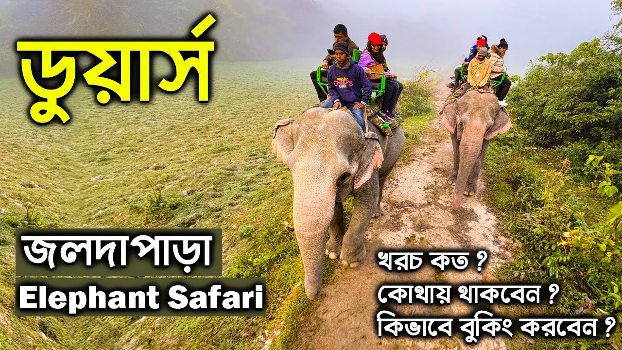 Dooars | jaldapara National Park | Elephant Safari | Jaldapara Hotel | Jaldapara Tour From Kolkata.