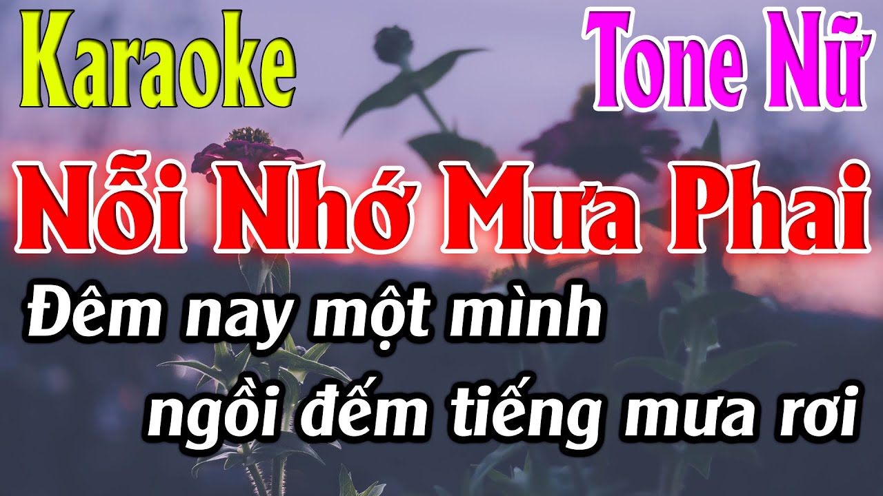 Nỗi Nhớ Mưa Phai Karaoke Tone Nữ Karaoke Lâm Organ - Beat Mới